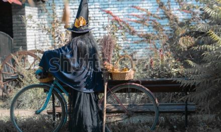 Mise à jour ‘Halloween’ du 22 octobre